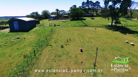 VAI ATE MANGUEIRA OVELHAS.00_03_42_14.Quadro051_19076214b864afb3a84f87428b9f0bf4655328f2.jpg